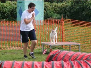 agility open 2011_0001