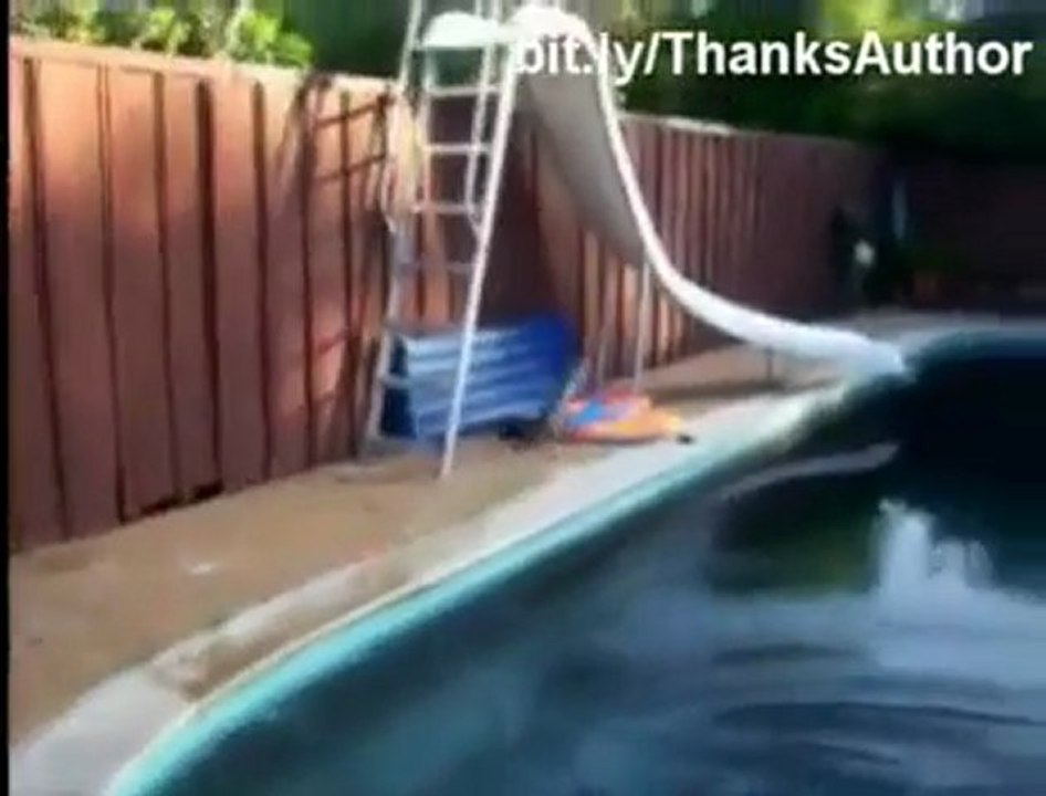 KEDİLERİN EN KOMİK HALLERİ  www.internettekazan.com