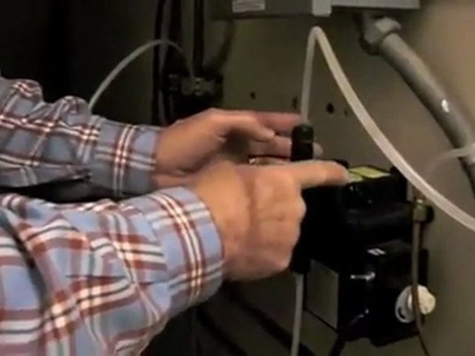 Eurospa Mystifiers Pump Eucalyptus Oil Into Your Steam Room