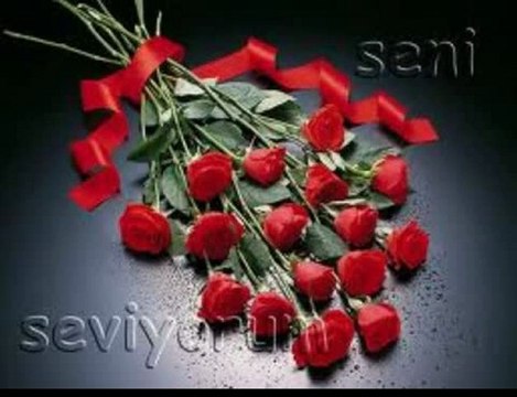 seslifenomen.com FuNdyy Koyu Kahverengi