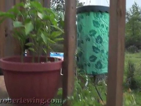 4353 Valentine Rd. - Dexter, MI - Kathlene Costello - Reinhart Realtors