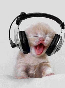 TELECHARGEMENT GRATUIT :: TELECHARGER GRATUITEMENT