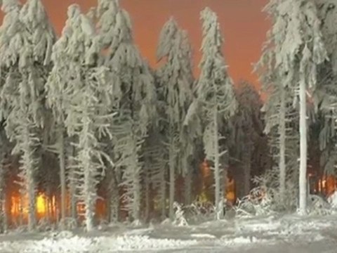 Zülfü Livaneli _Karlı Kayın Ormanında_