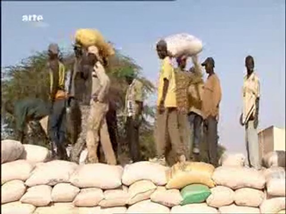 Riz contre arachide