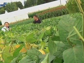 Terres à l'Envers : Le labour à son festival  ! (Alsace)