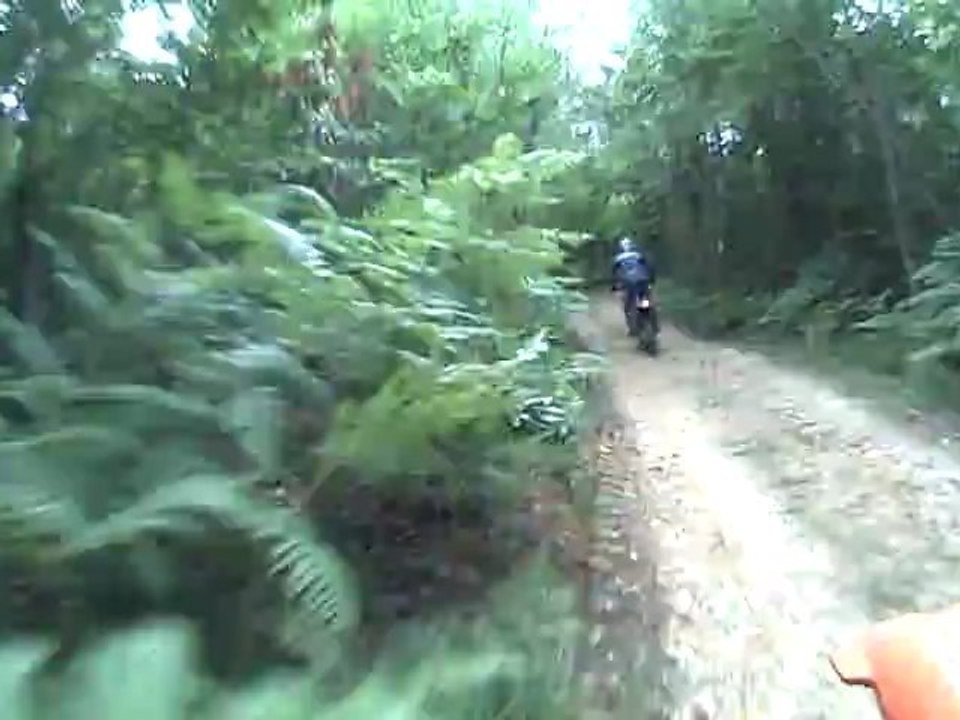 CLIP0005