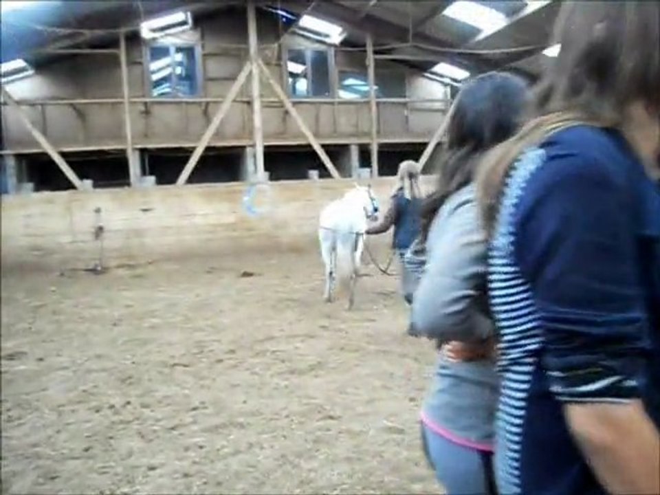 Moly et moi en longues rênes !