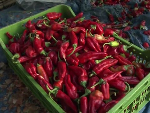 Libyans prepare to celebrate Eid without Kadhafi