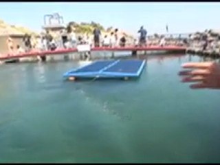 釣りの太海は10,000ボルト　１