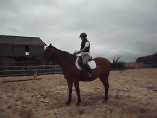 ma jument chérie qui recule