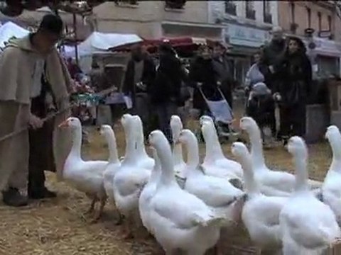 La ferme géante : bien plus qu’une basse cour