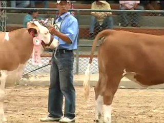 1_MARTES 30 DE AGOSTO 2011 Feria Luis Samuel Martinez Simmental