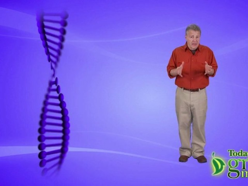 Cloning the Extinct