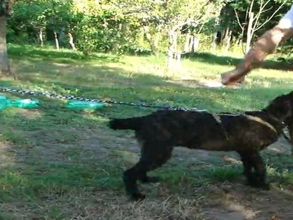 2 mois  3 semaines  frab gauch