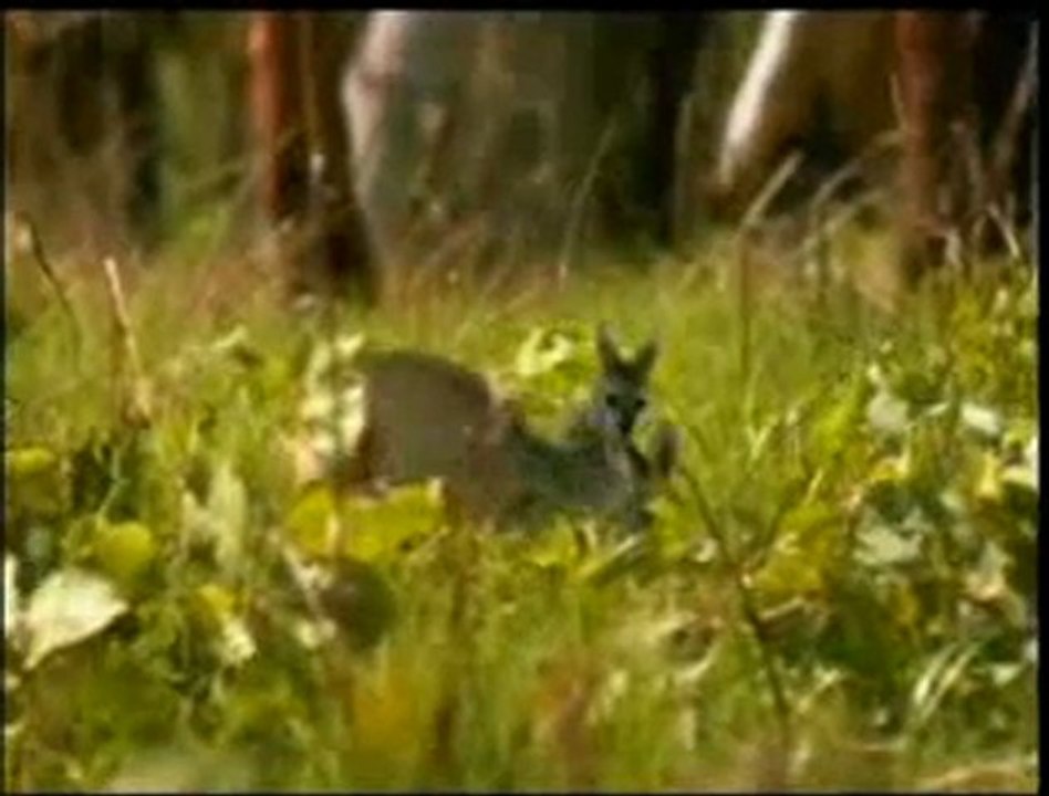 Yavrulara özel bakım