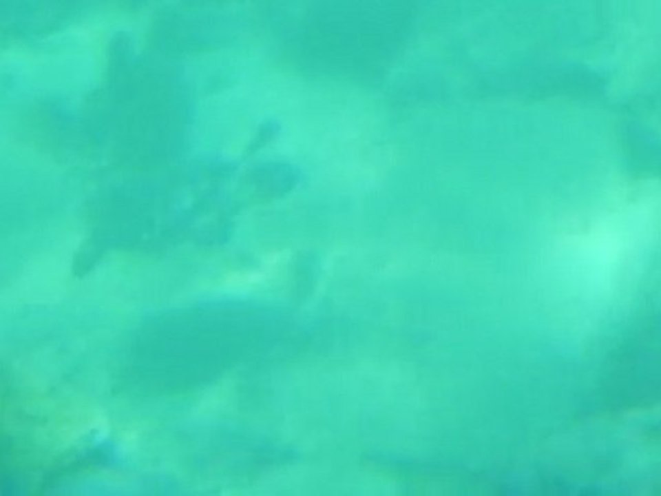 DSCN6308