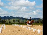 equestrian rubber | Reharvest Auckland NZ