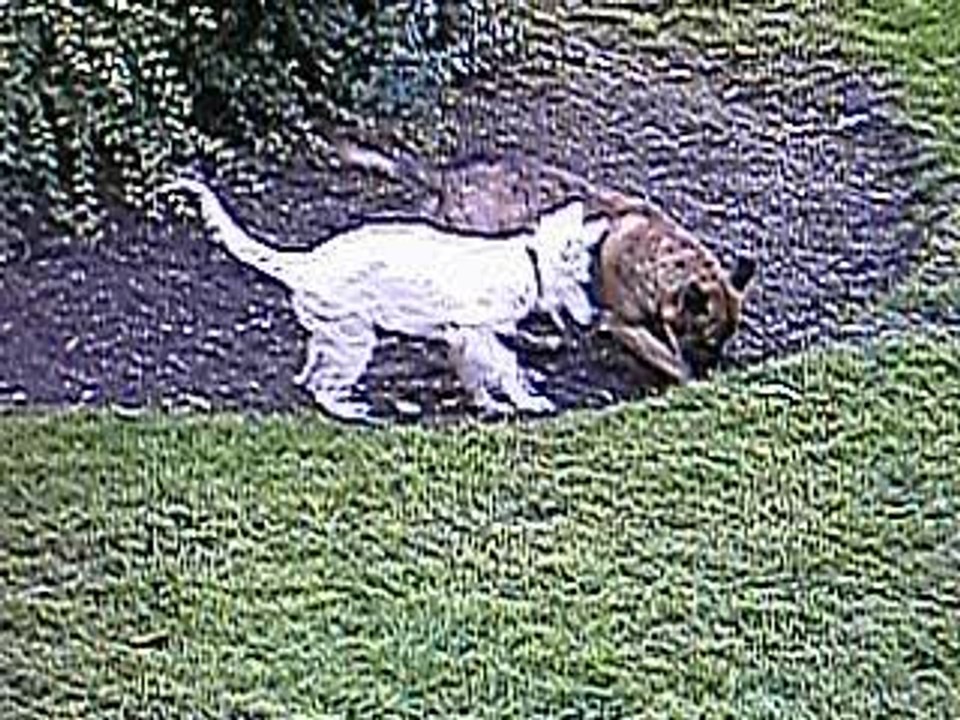 BAIKA ET ZOXY LE 25 AOUT 2006