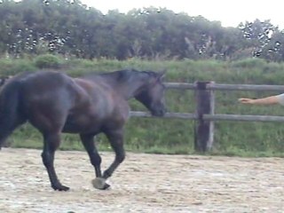 Montana - liberté en carrière