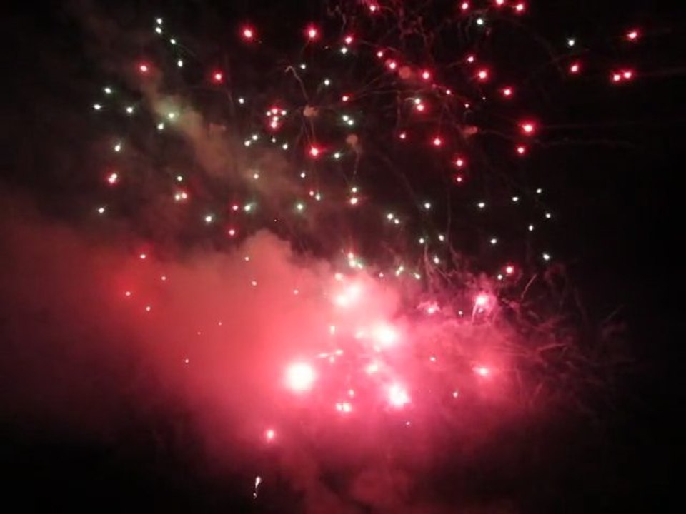 feu d'artifice fontainebleau 2011 1ere partie