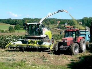 Ensilage du maïs en Sarthe