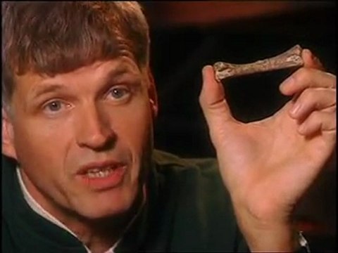 Υπερκινητικός Δάσκαλος~Μωρά δεινοσαύρων