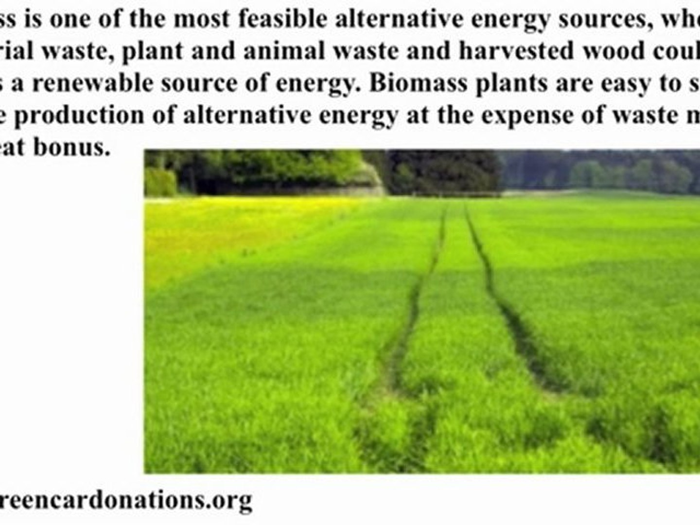 ⁣Alternative Energy | The Importance of Looking for Alternative Energy Sources