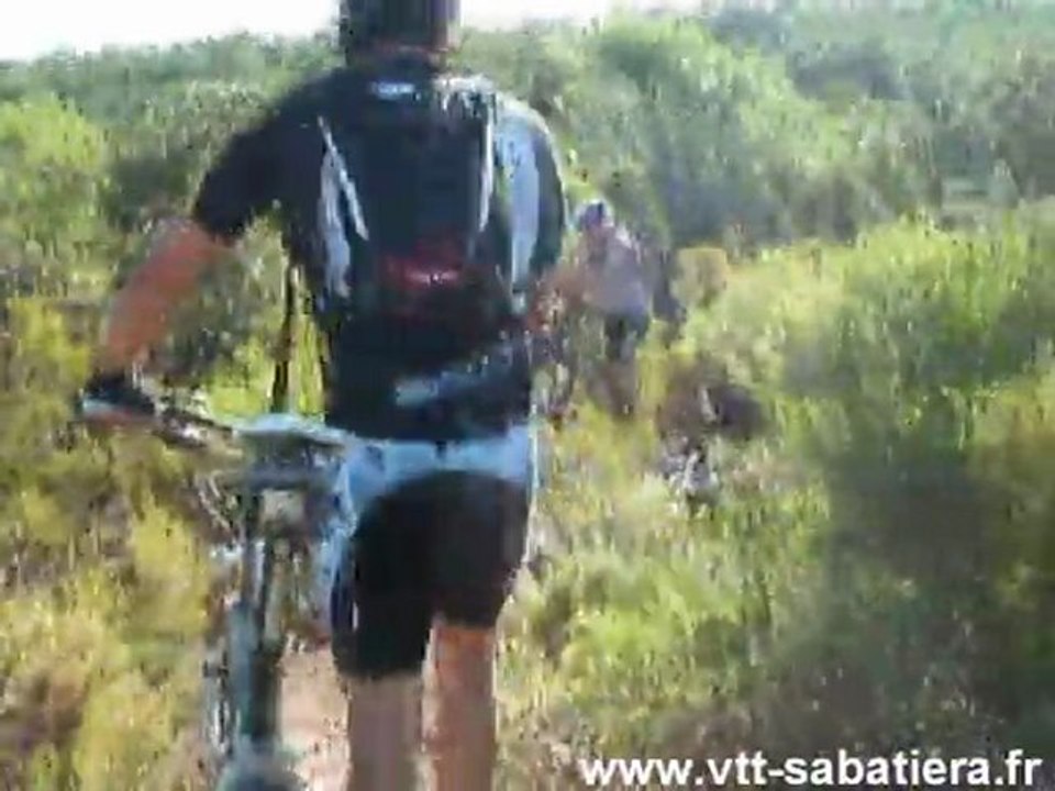 Dans la pinède de Fontfroide