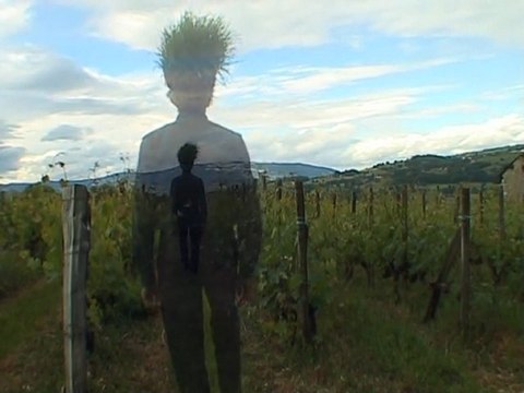 VOYAGE VERT ___ LES ÉTOILES Christelle Westpha images, Claude Perrin Musiquel 2011 - copie-Partage YouTube