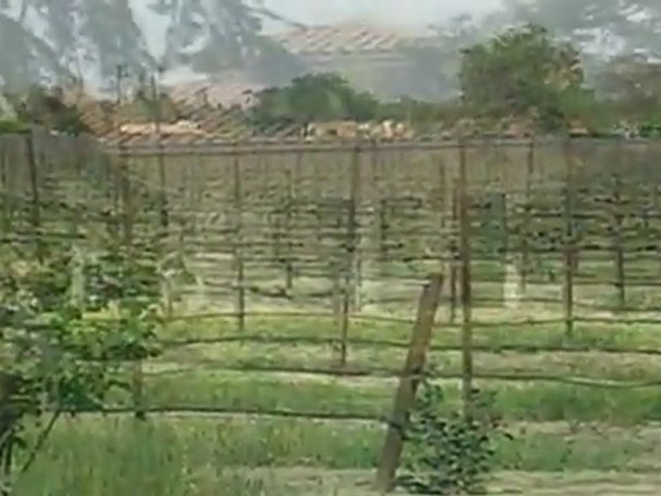 Les frères Gallo