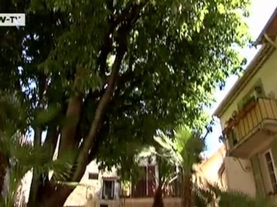 Sun seekers | video of the day