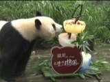 Une grande fête d'anniversaire pour les pandas du Sichuan