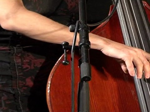 Verveine Dévolue - extraits concerts Montmaur juillet 2011