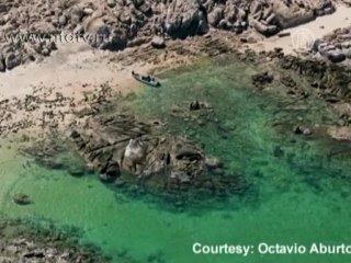 Самый надежный морской заповедник -- в Мексике