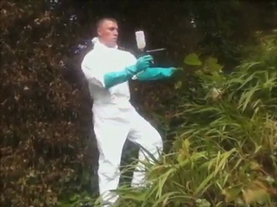 Japanese Knotweed Removal