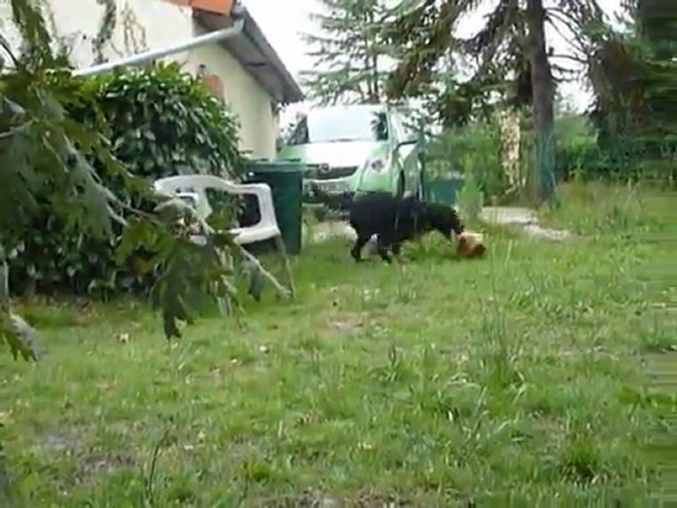 Flora et son ballon de basket