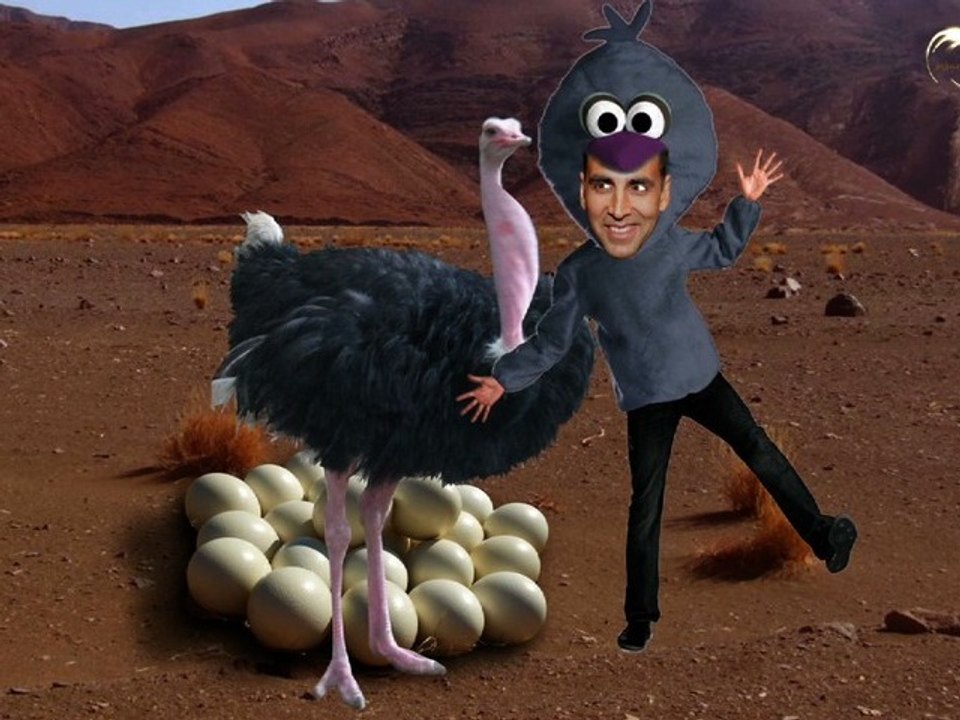 Comedy Show Jay Hind! Ostrich Mentality