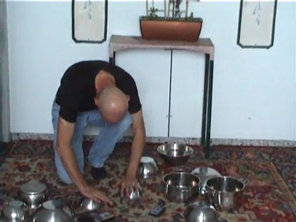 Franz Anton Mesmer animal magnetism