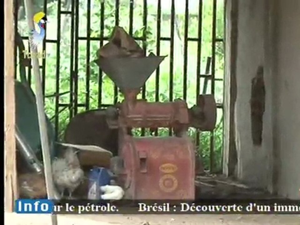 FEMME ET DEVELOPPEMENT DU 31 AOUT 2011