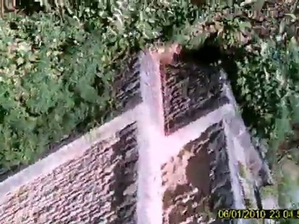 saut élastique viaduc de coquilleau (85) par Grenouilleau Jonathan