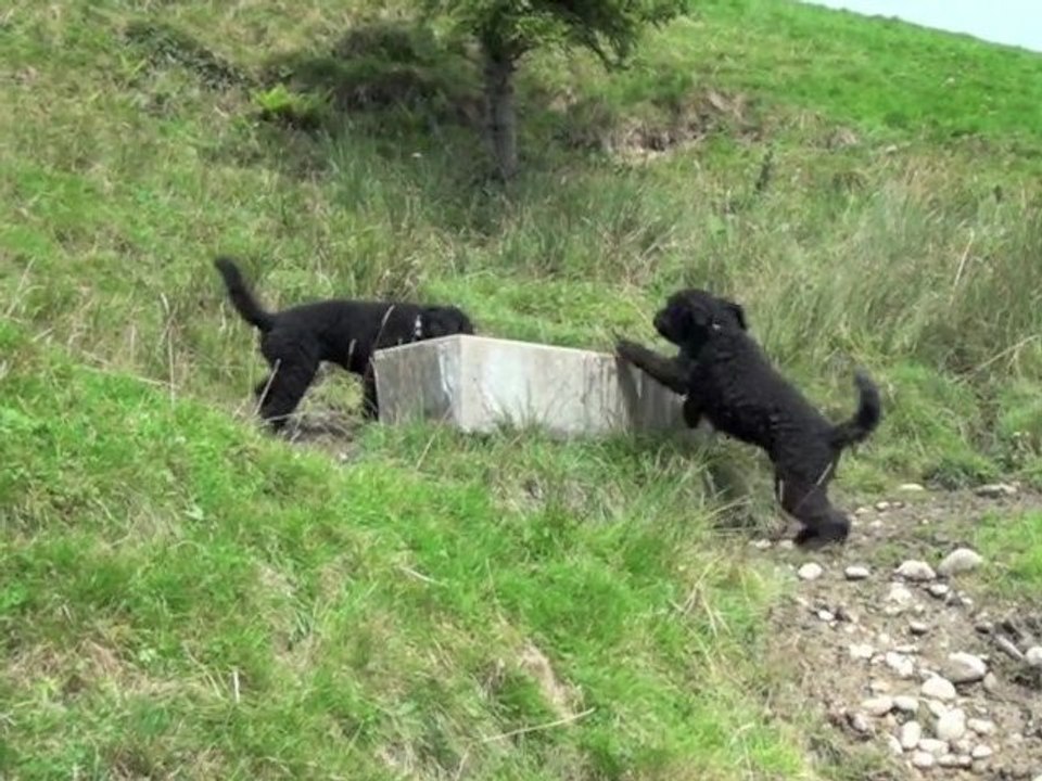 Abenteuer Napf 30.8.11