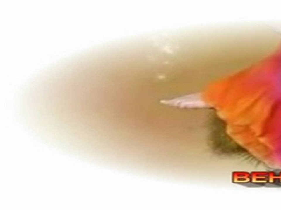 Sila - Bana Biraz Renk Ver