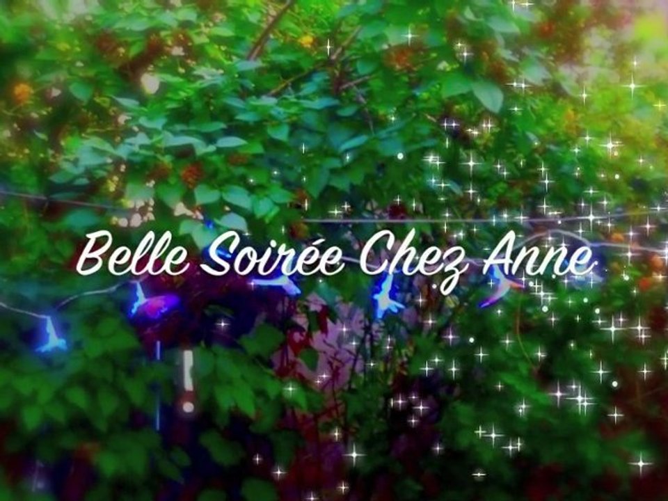 Belle soirée d'été 2011 chez Anne