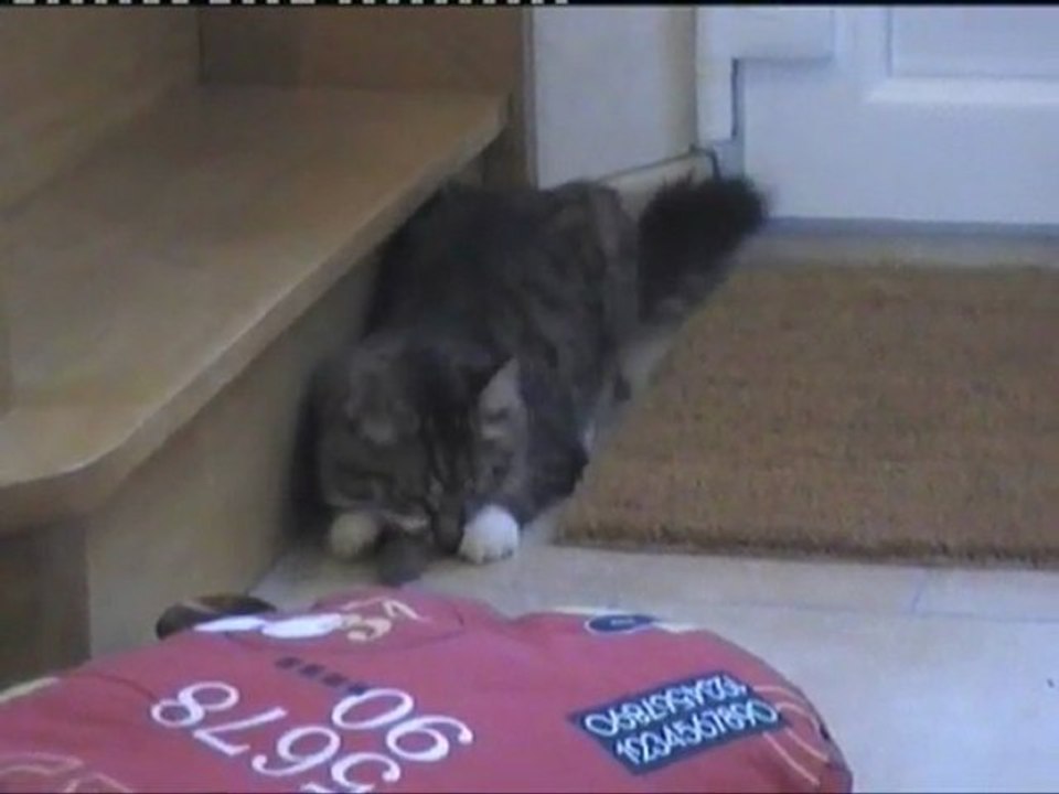 2011-08-31 Souris