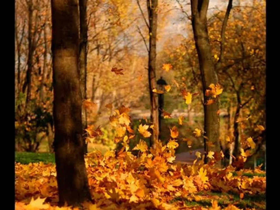 Yine Hazan Mevsimi Geldi