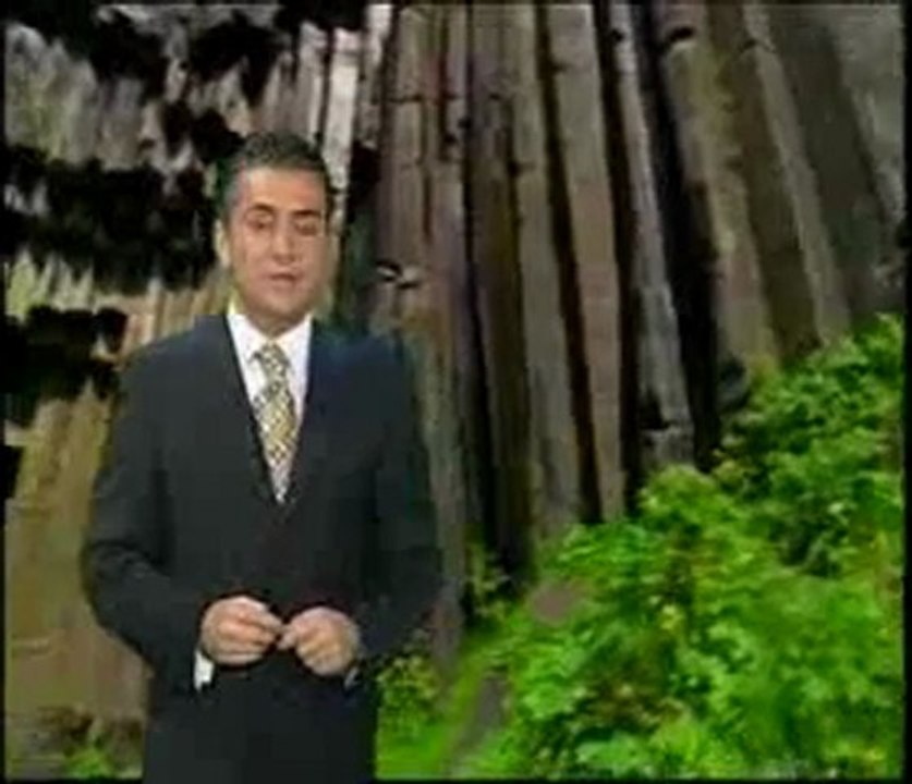 Yapraklar ve altın oran