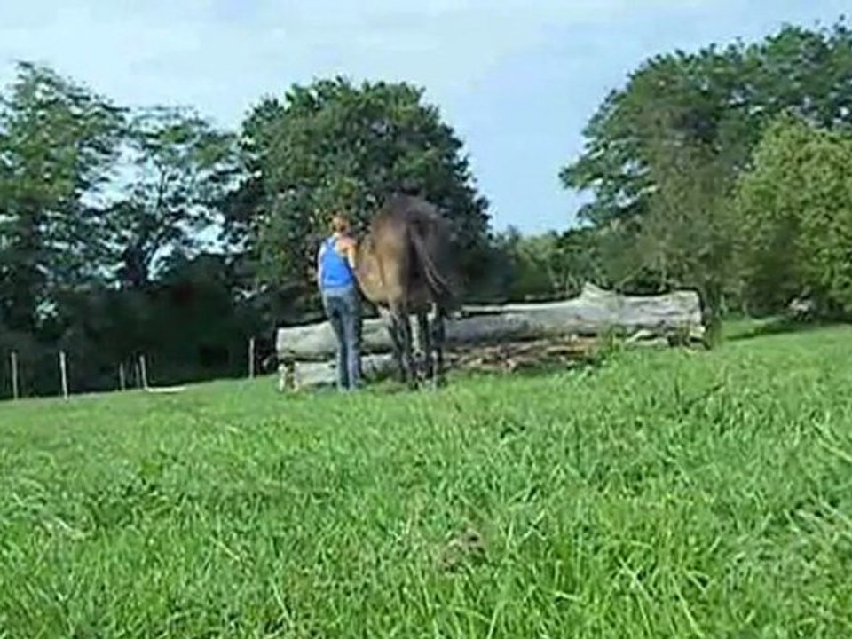 Métisse-31-08-11