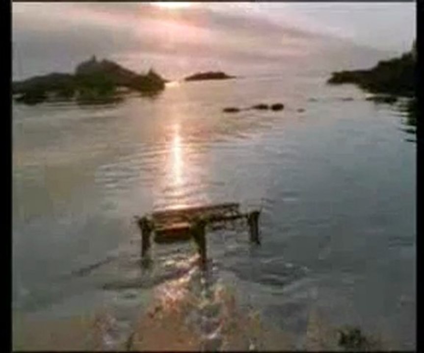 Canlıları taklit eden robotlar