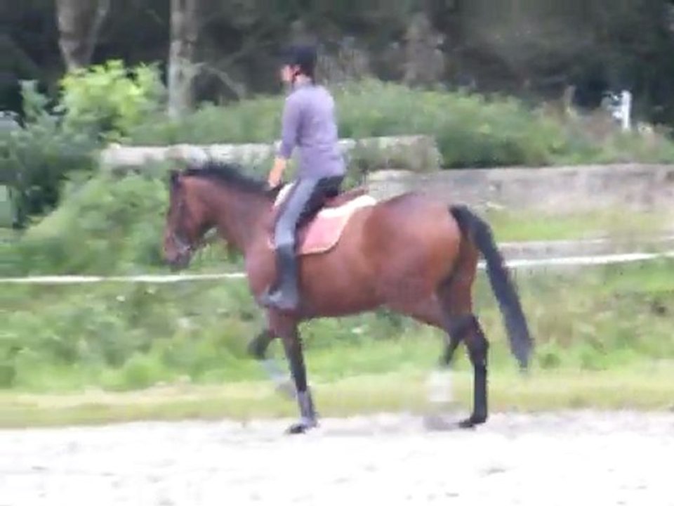 Dressage du 31 août (avec éperons)