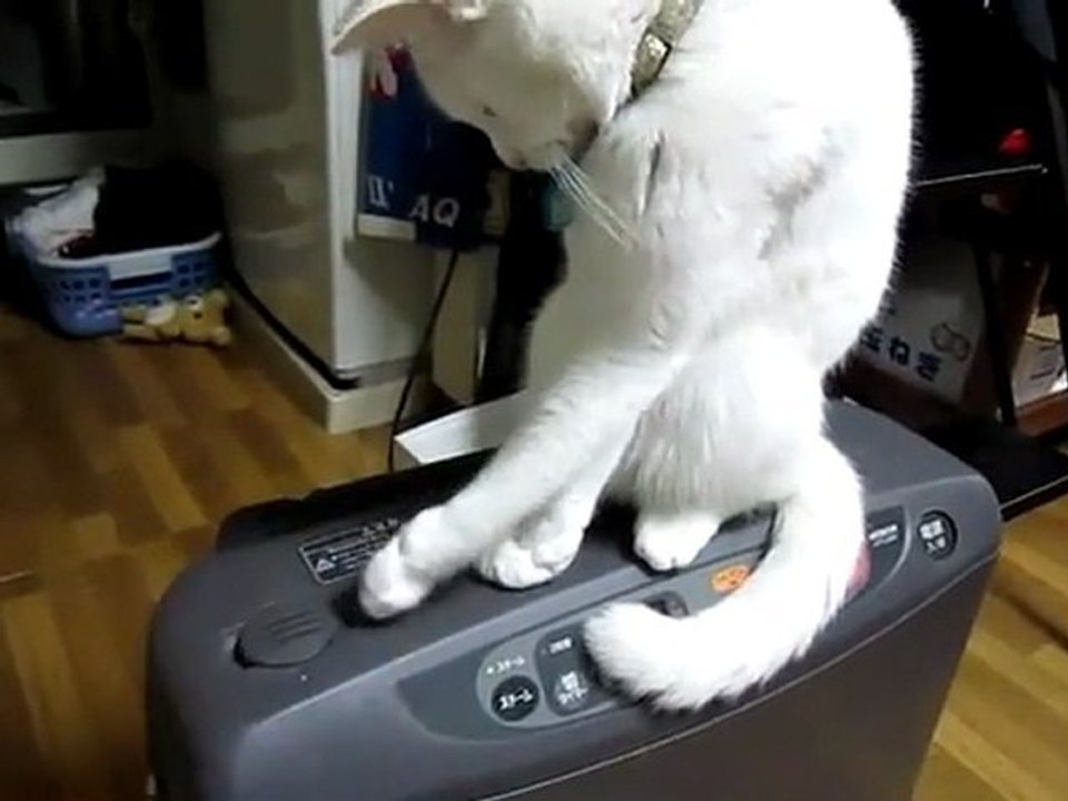 Lass das doch mal bitte zu!